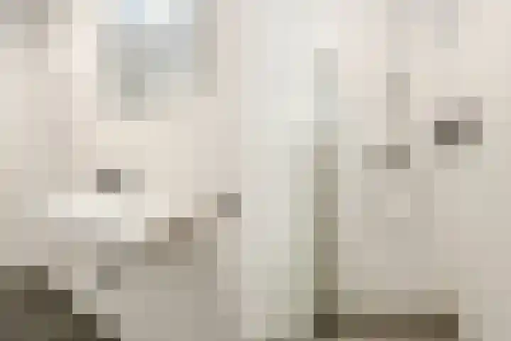 Rijshout 16 Doornenburg thumbnail 25