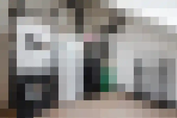 Rijshout 16 Doornenburg thumbnail 27