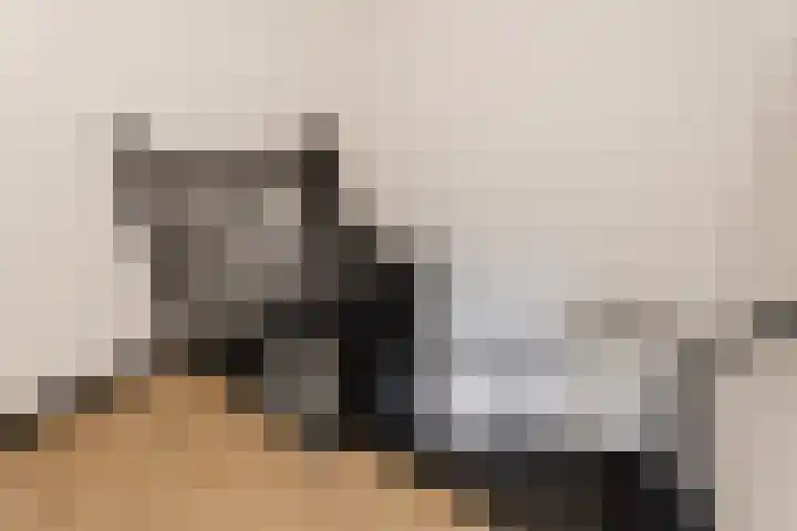 Rijshout 16 Doornenburg thumbnail 31