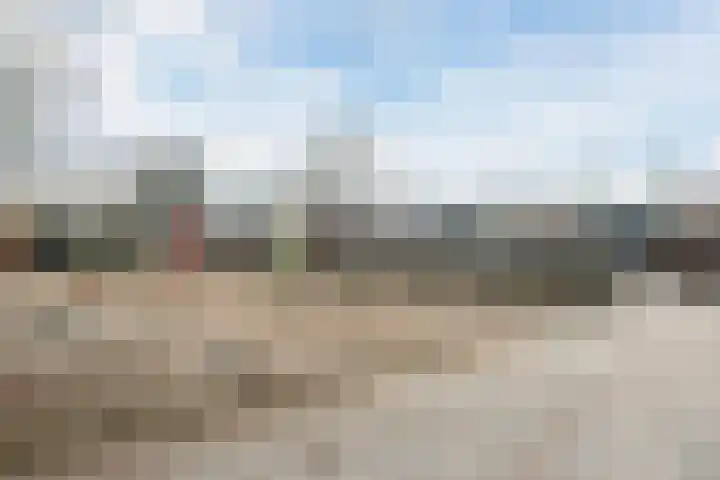 Rijshout 16 Doornenburg thumbnail 33