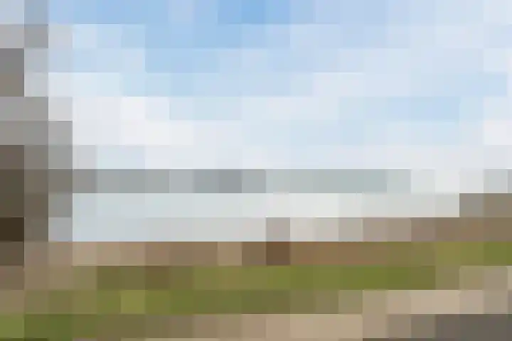 Rijshout 16 Doornenburg thumbnail 35