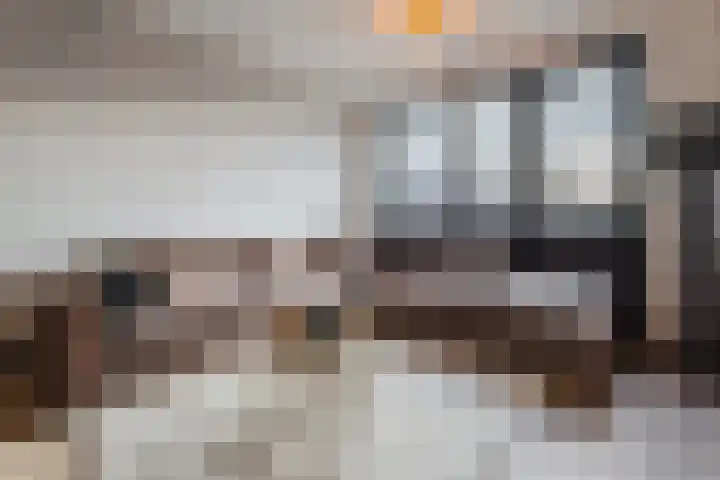 Rijshout 16 Doornenburg thumbnail 8