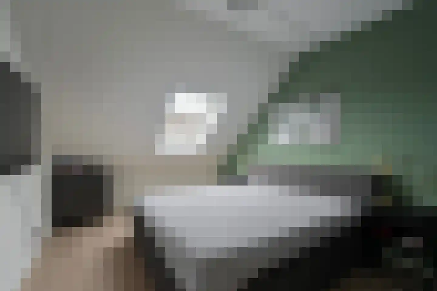 Rijshout 18 Doornenburg thumbnail 11