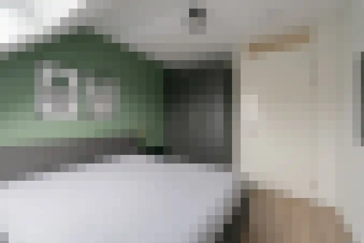 Rijshout 18 Doornenburg thumbnail 12
