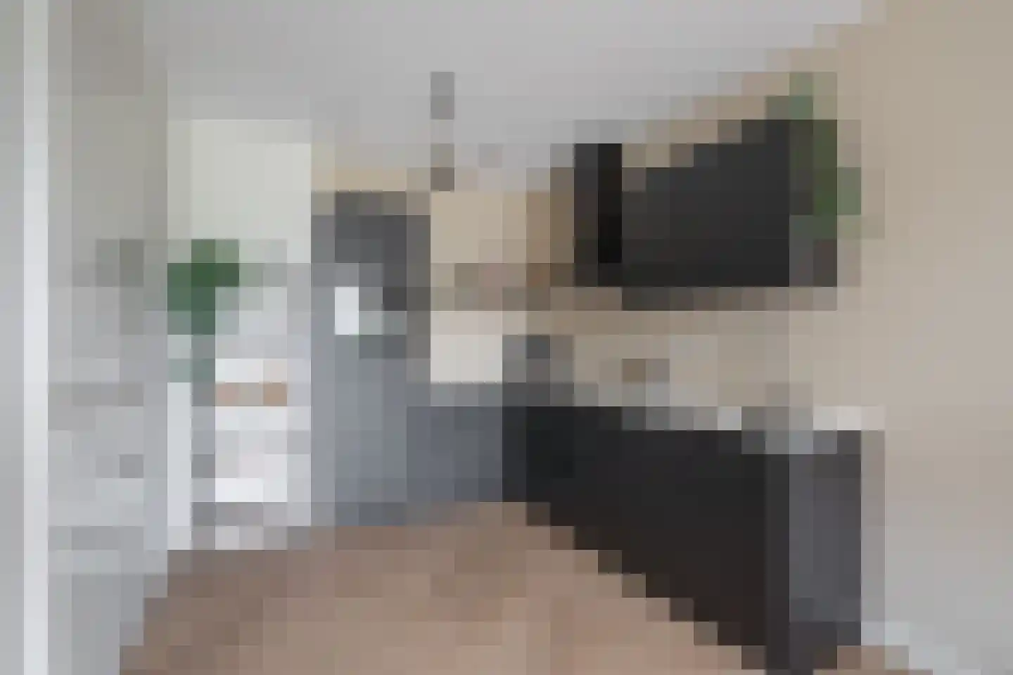 Rijshout 18 Doornenburg thumbnail 7