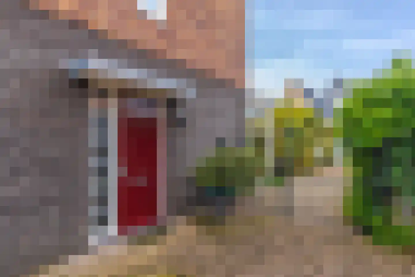 Rijshout 29 Arnhem thumbnail 10