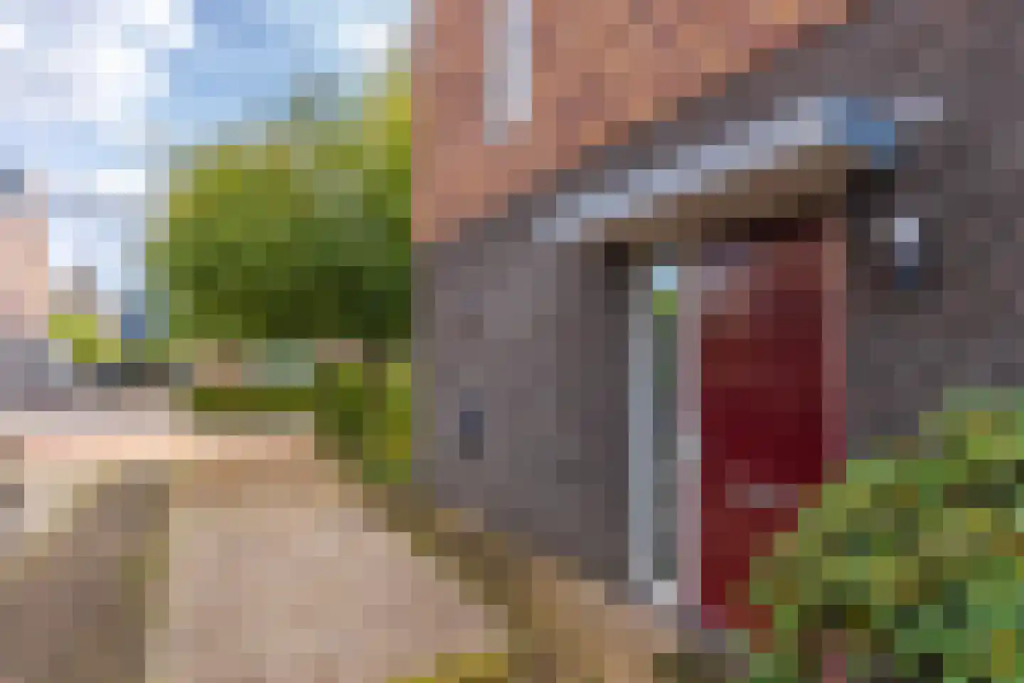 Rijshout 29 Arnhem thumbnail 11