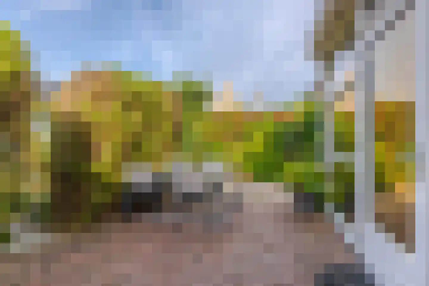 Rijshout 29 Arnhem thumbnail 24