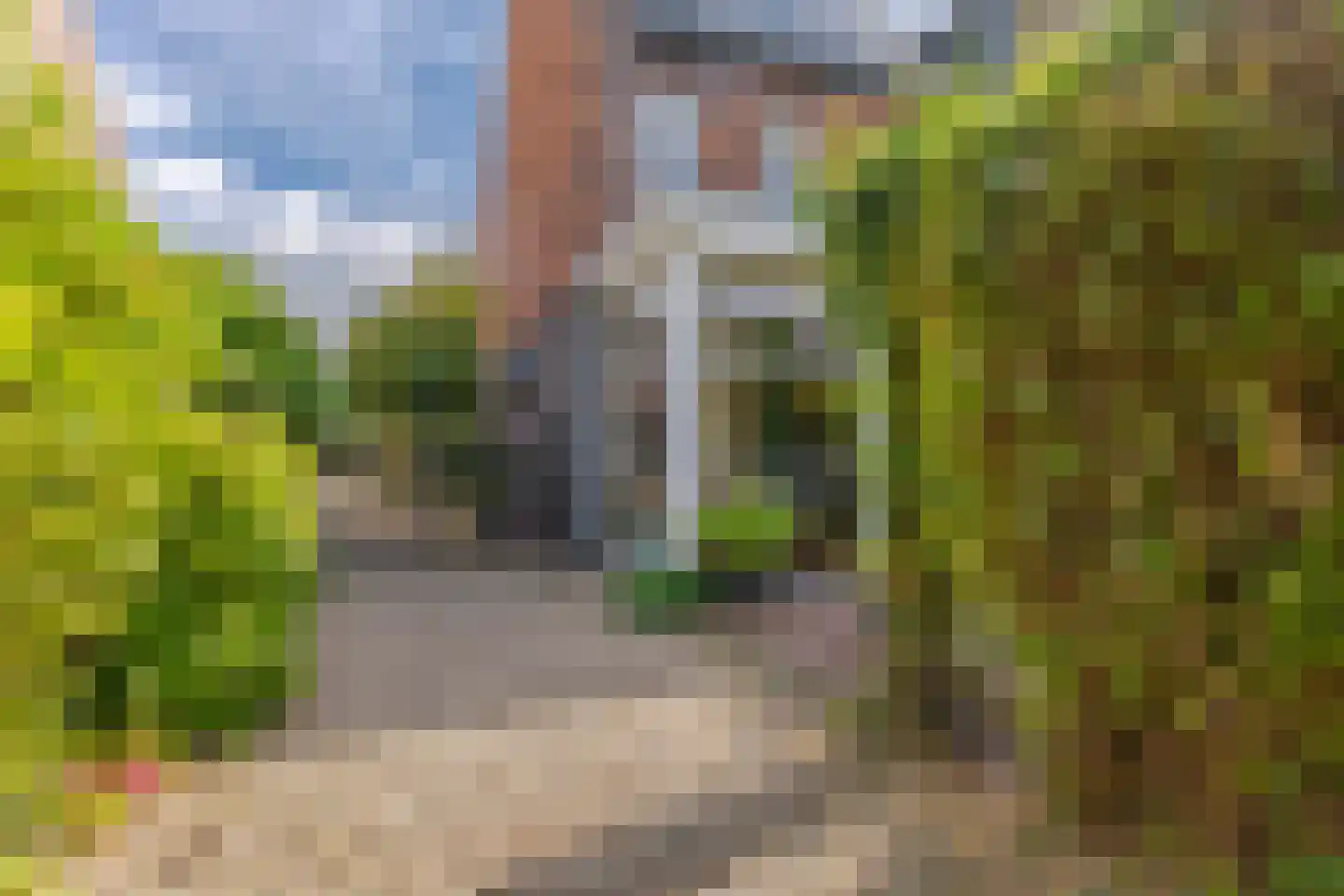 Rijshout 29 Arnhem thumbnail 25