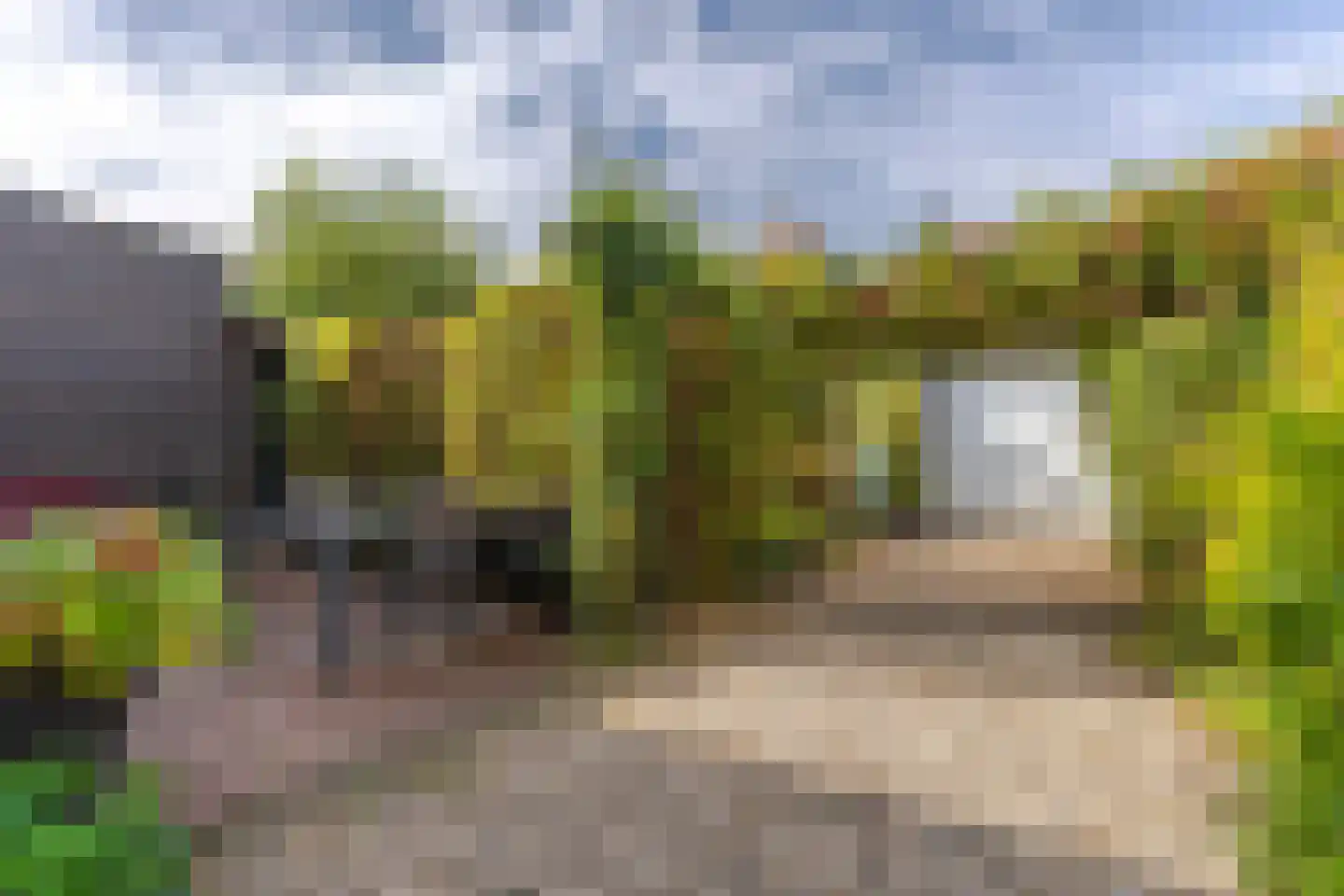Rijshout 29 Arnhem thumbnail 26