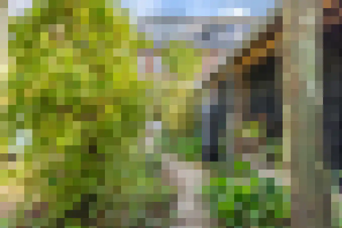 Rijshout 29 Arnhem thumbnail 28