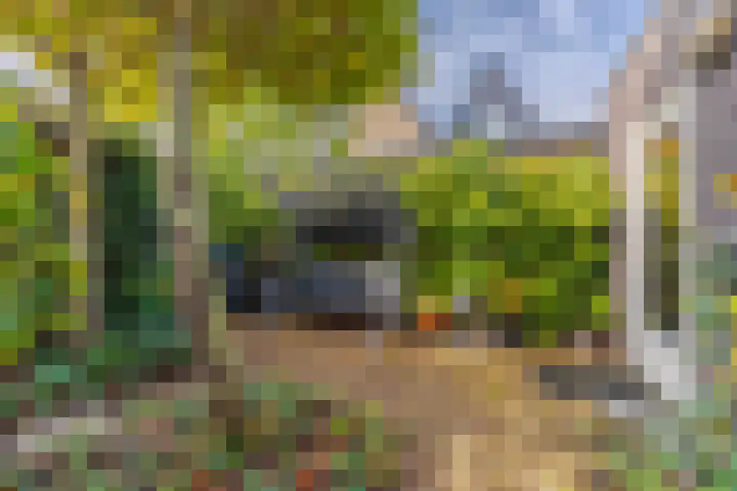 Rijshout 29 Arnhem thumbnail 29