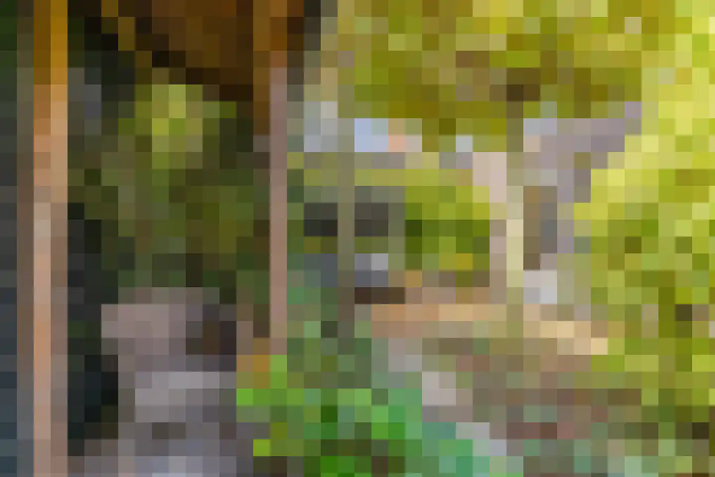 Rijshout 29 Arnhem thumbnail 31