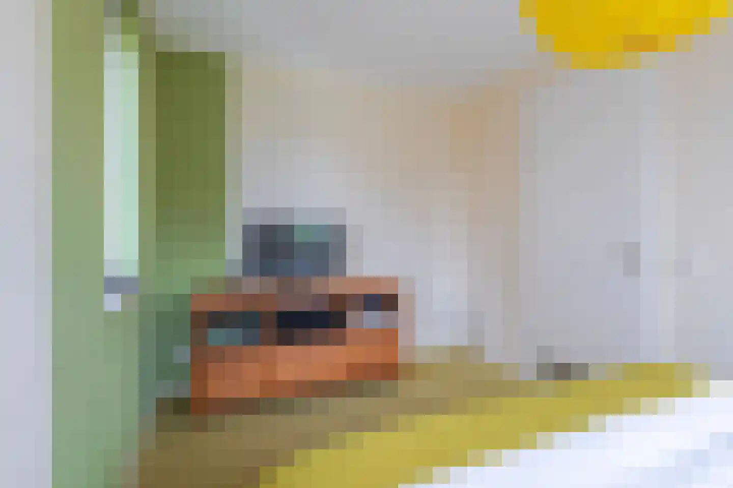 Rijshout 29 Arnhem thumbnail 35