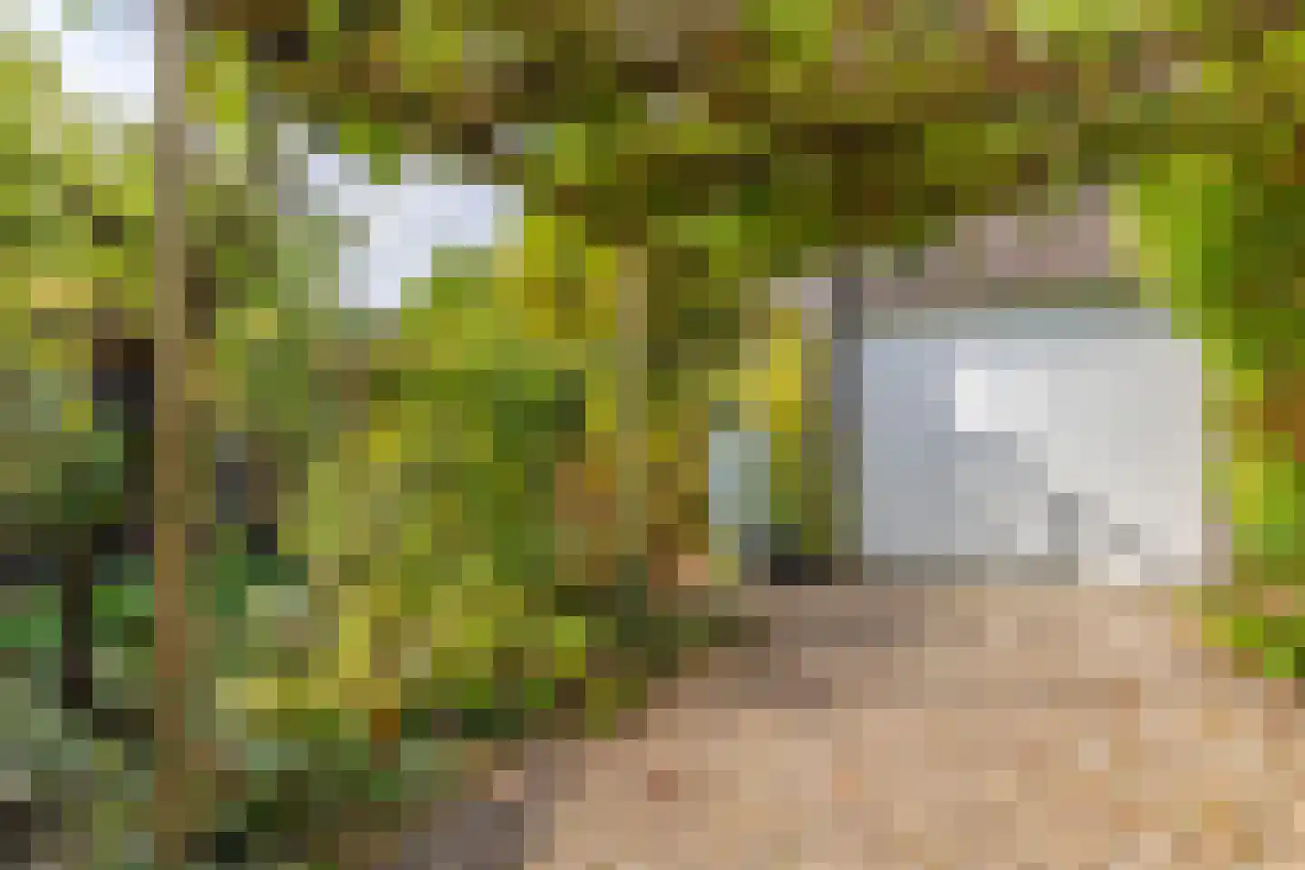 Rijshout 29 Arnhem thumbnail 5
