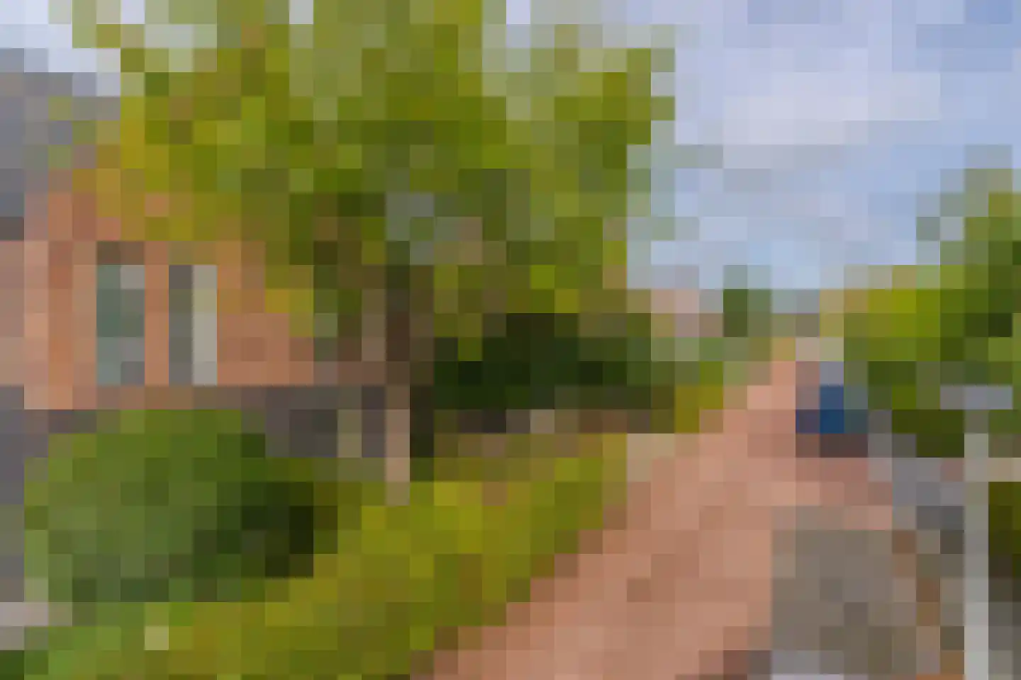 Rijshout 29 Arnhem thumbnail 6
