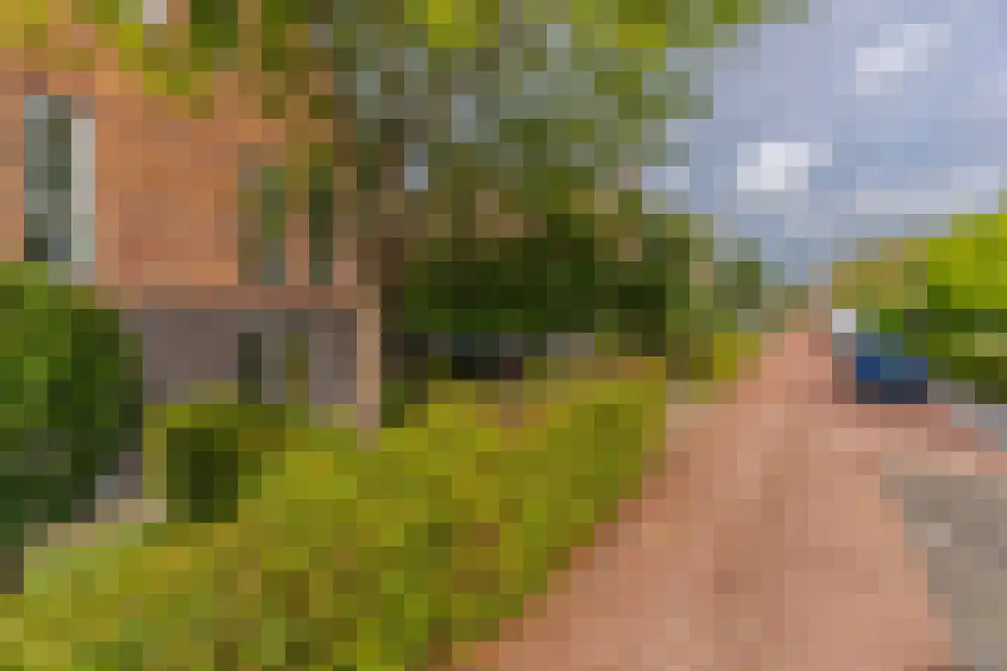 Rijshout 29 Arnhem thumbnail 7