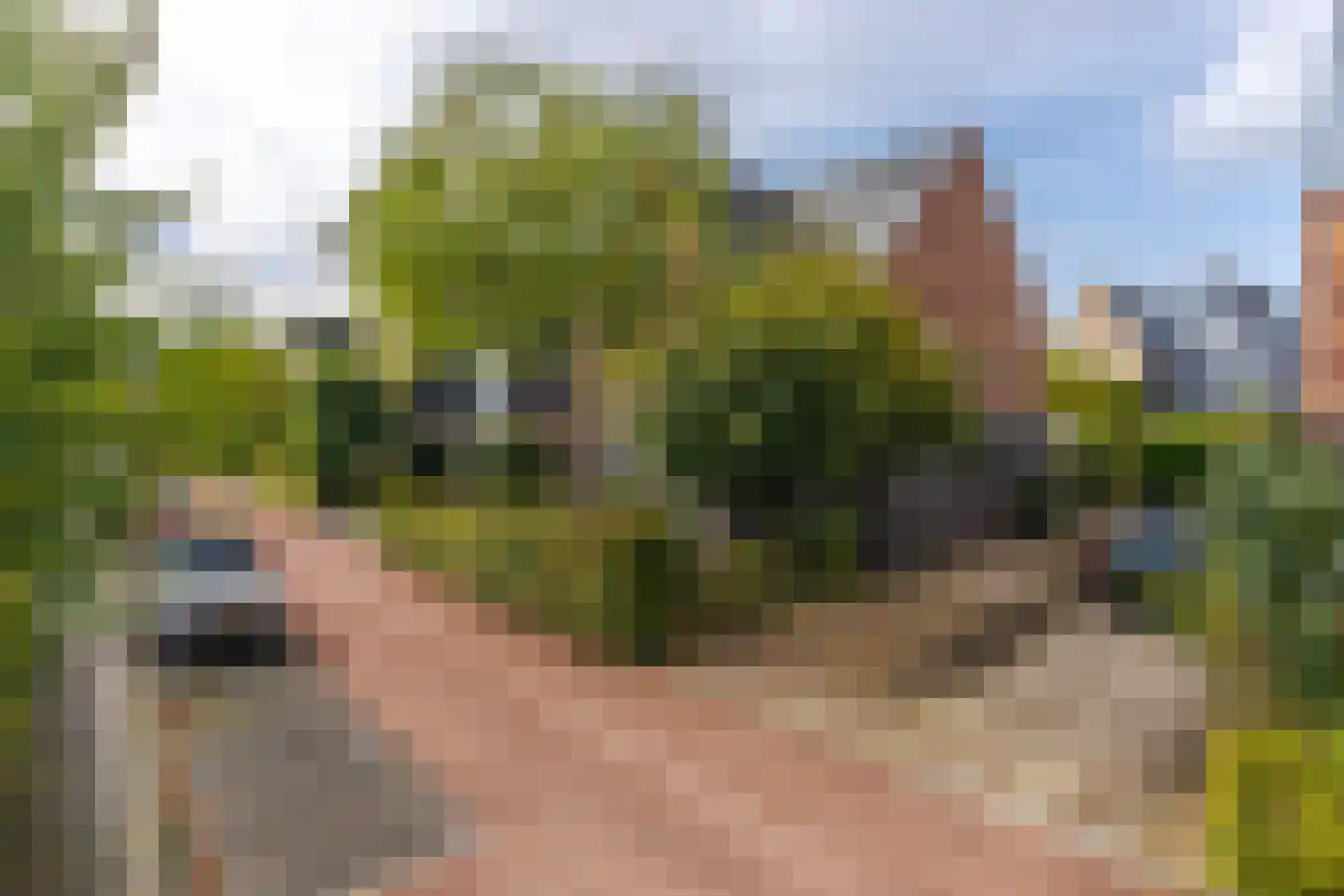 Rijshout 29 Arnhem thumbnail 8
