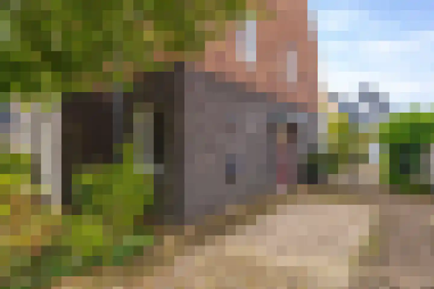 Rijshout 29 Arnhem thumbnail 9