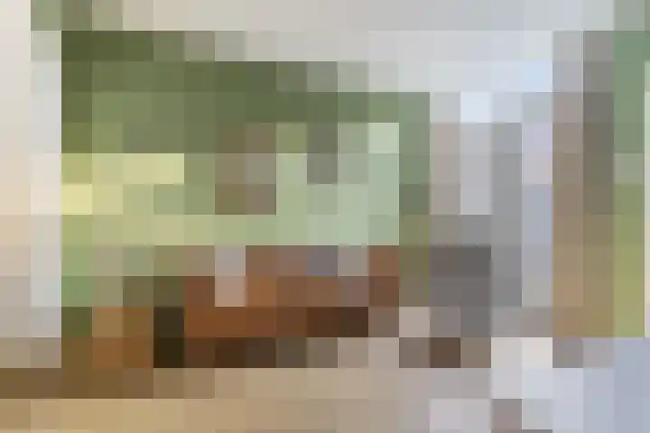 Rijshoutstraat 22 Sliedrecht thumbnail 10