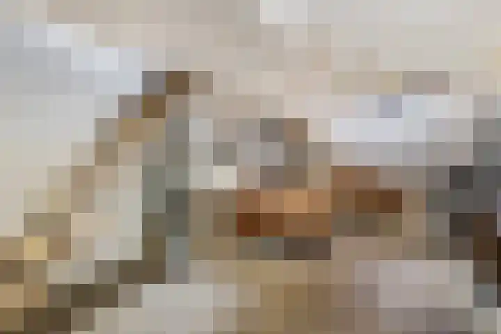 Rijshoutstraat 22 Sliedrecht thumbnail 11