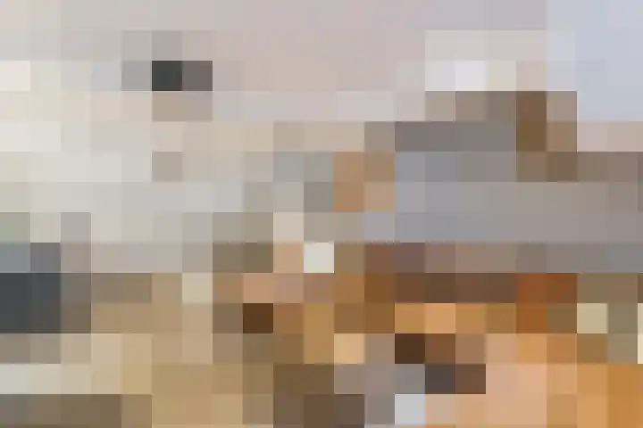 Rijshoutstraat 22 Sliedrecht thumbnail 12