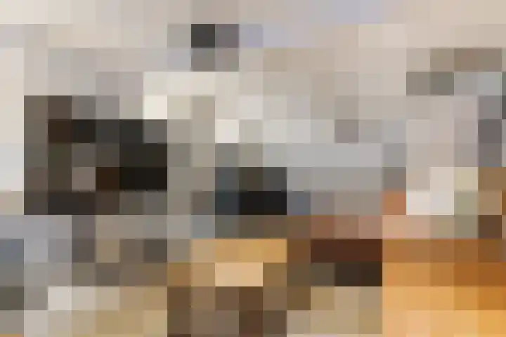 Rijshoutstraat 22 Sliedrecht thumbnail 13