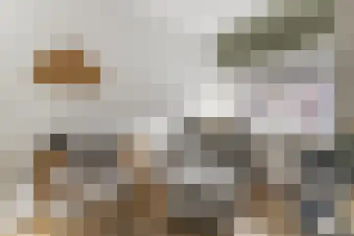 Rijshoutstraat 22 Sliedrecht thumbnail 21