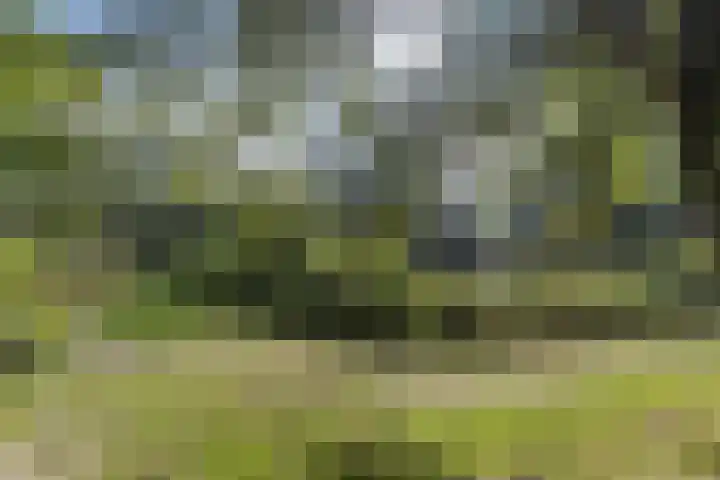 Rijshoutstraat 22 Sliedrecht thumbnail 30
