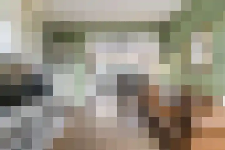 Rijshoutstraat 22 Sliedrecht thumbnail 8