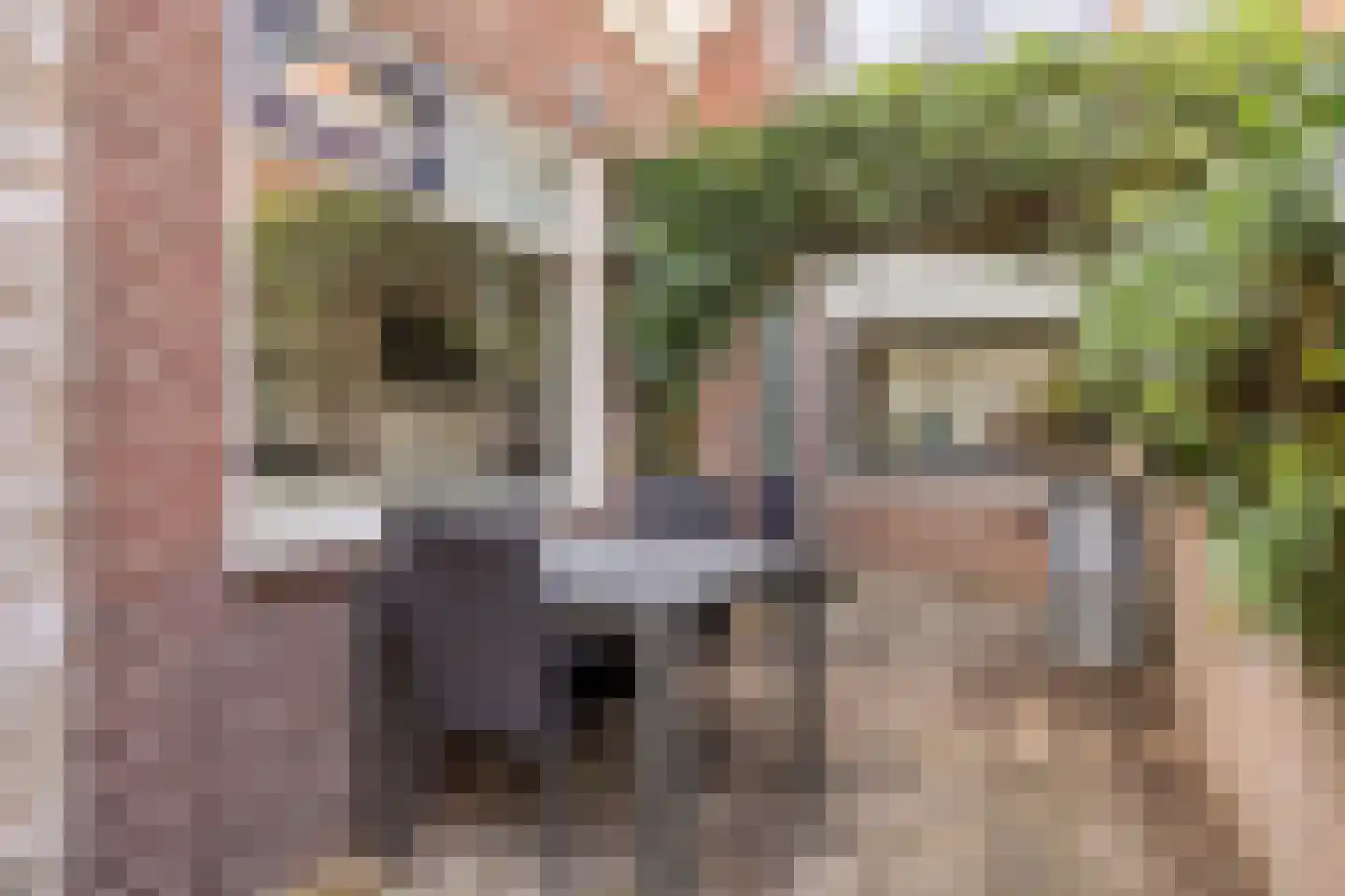 Rijshoutstraat 26 Sliedrecht thumbnail 24