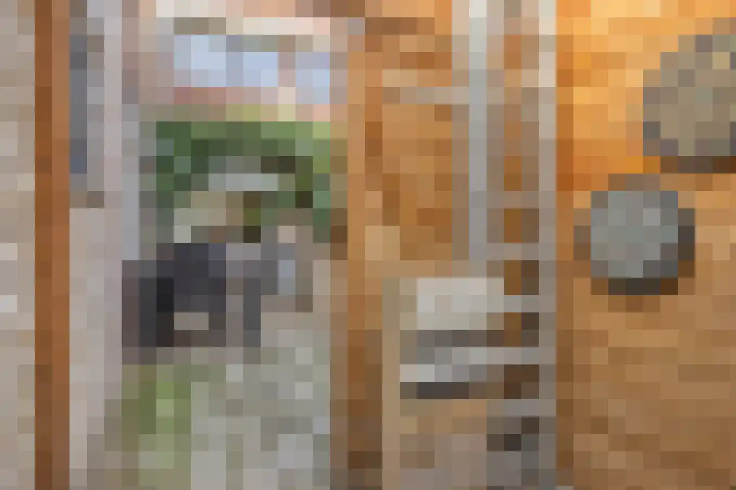 Rijshoutstraat 26 Sliedrecht thumbnail 28