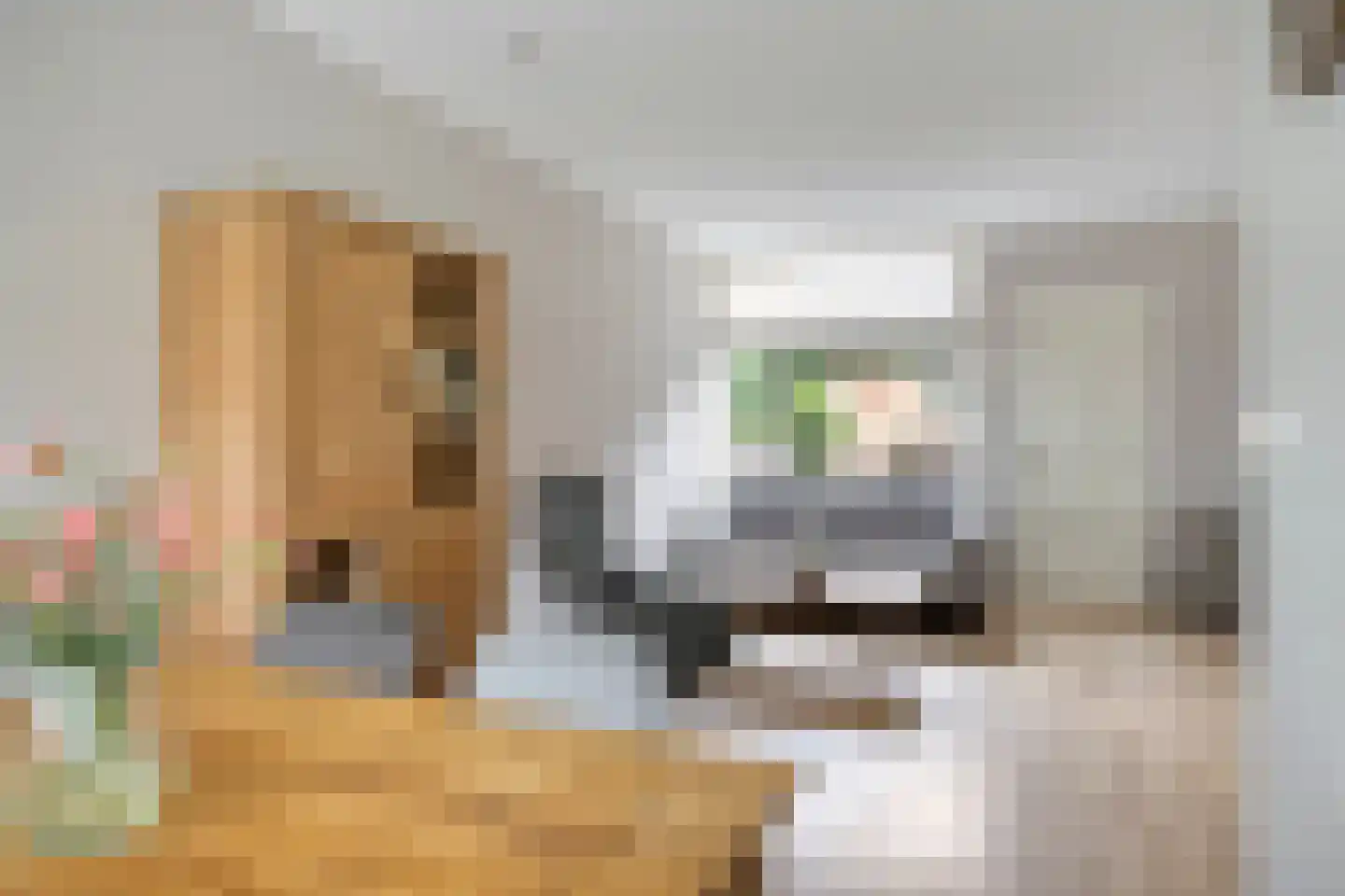 Rijshoutstraat 26 Sliedrecht thumbnail 5
