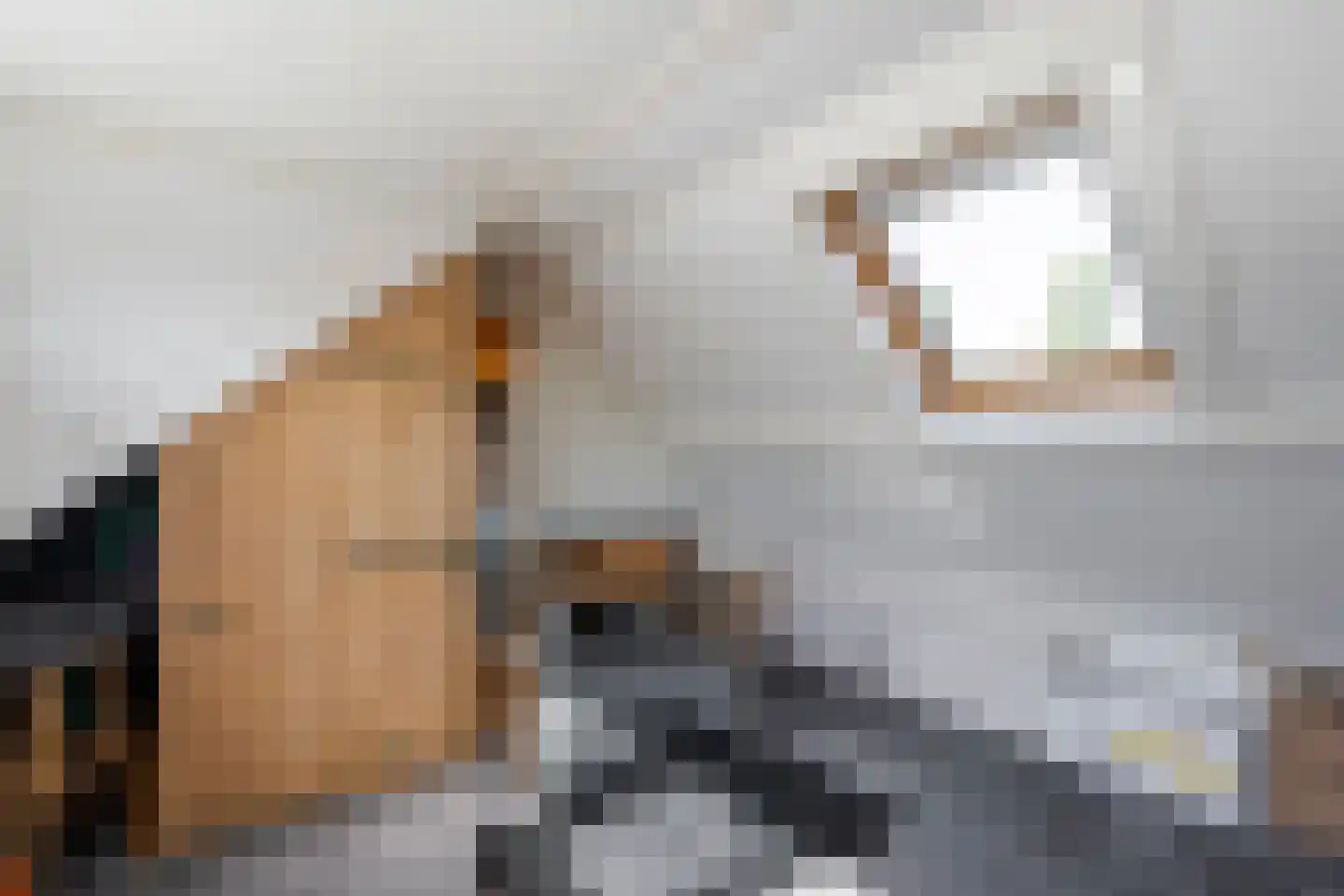 Rijshoutstraat 30 Sliedrecht thumbnail 22