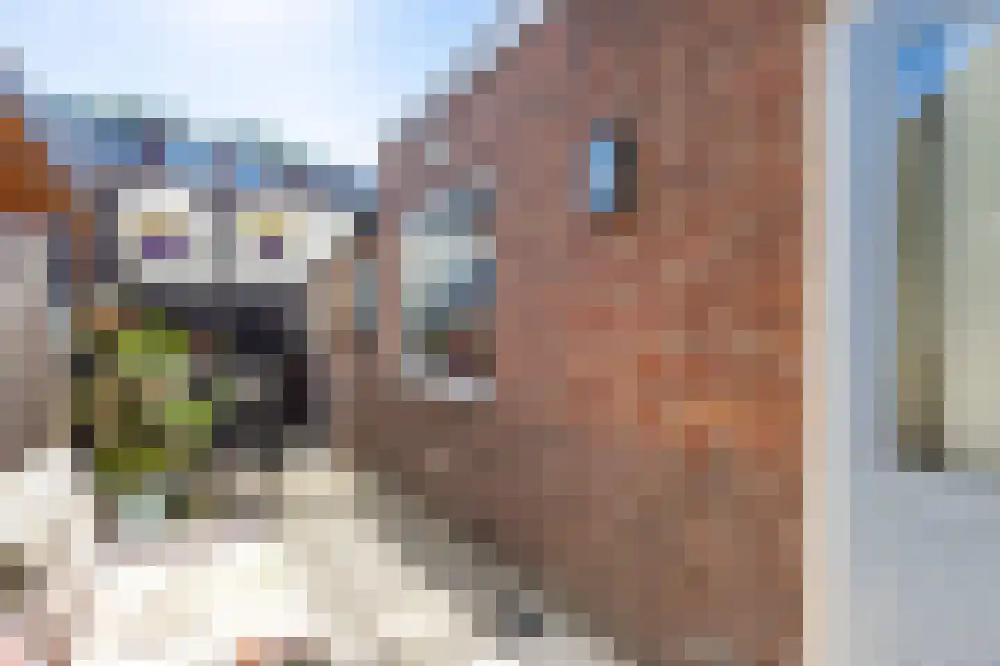 Rijshoutstraat 30 Sliedrecht thumbnail 23