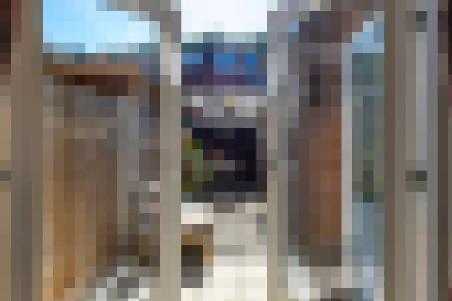 Rijshoutstraat 30 Sliedrecht thumbnail 5