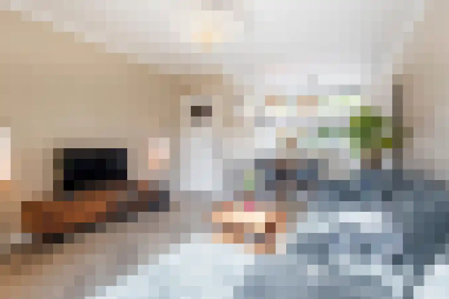 Rijshoutstraat 30 Sliedrecht thumbnail 6