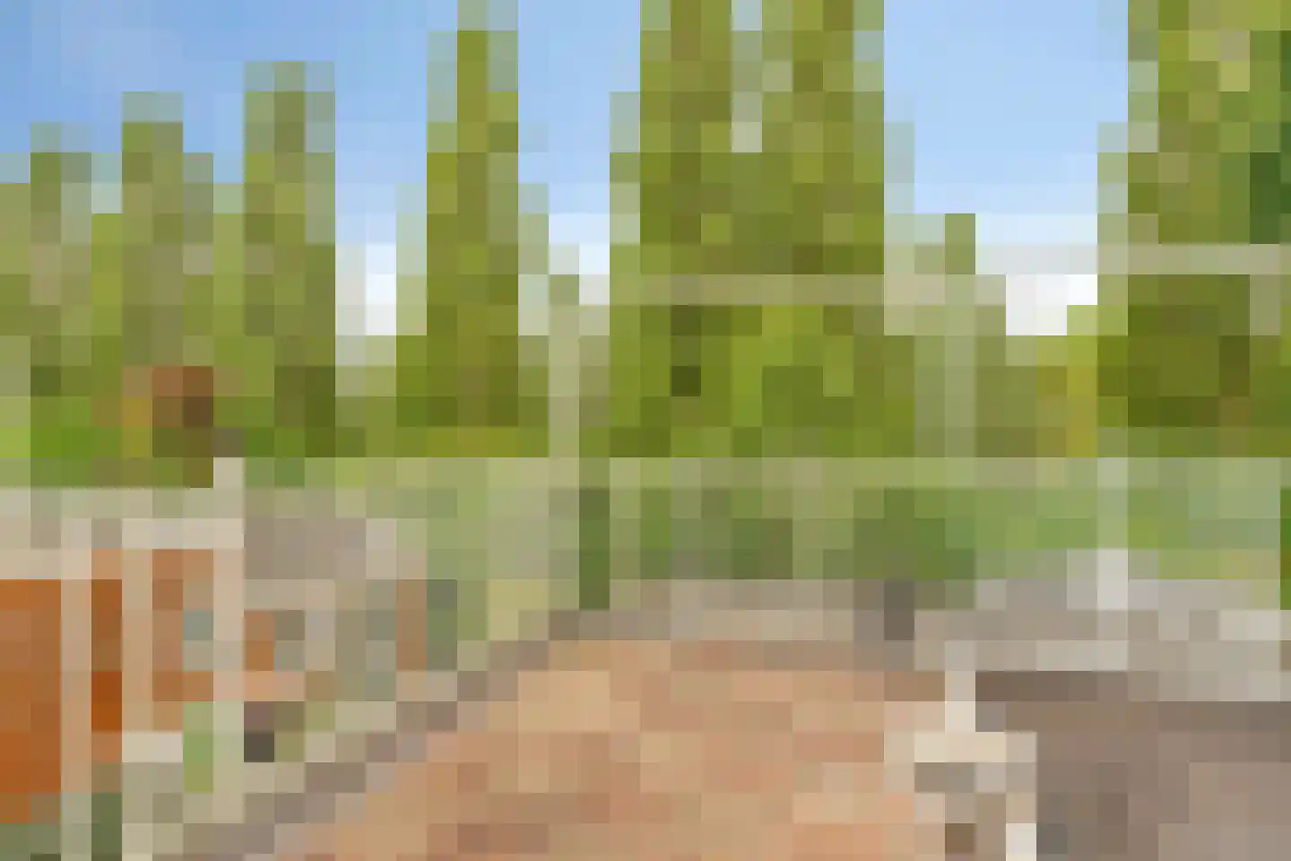 Rijshoutstraat 31 Sliedrecht thumbnail 19