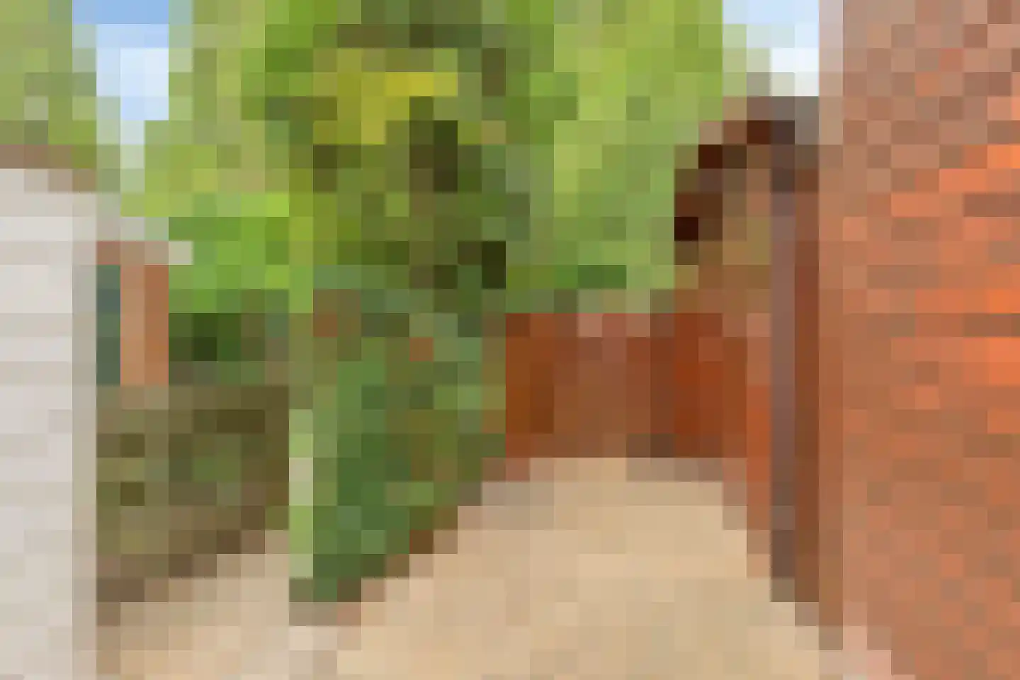 Rijshoutstraat 31 Sliedrecht thumbnail 24