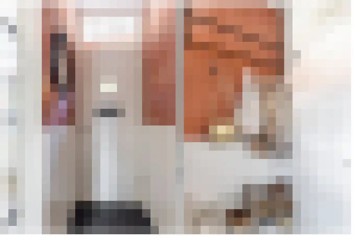 Rijshoutstraat 32 Sliedrecht thumbnail 12