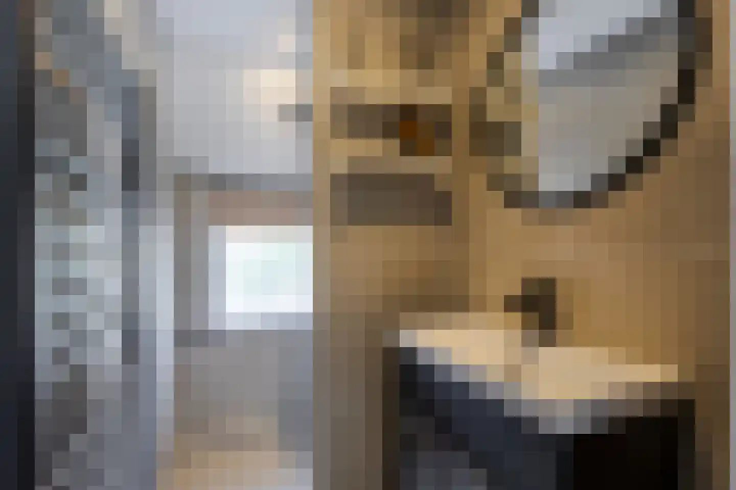 Rijshoutstraat 32 Sliedrecht thumbnail 13