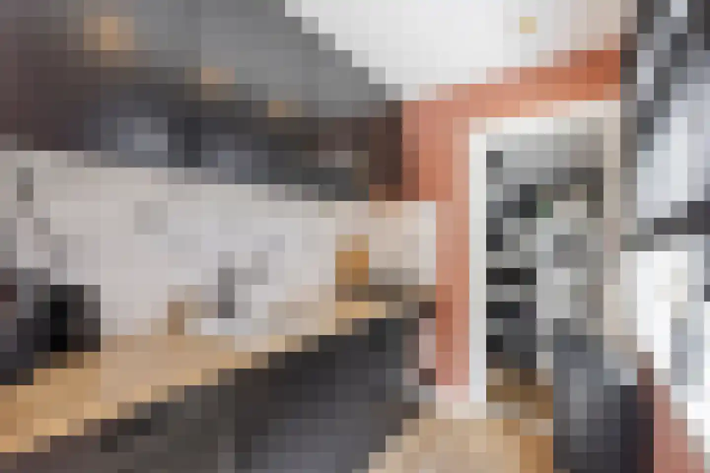 Rijshoutstraat 32 Sliedrecht thumbnail 4