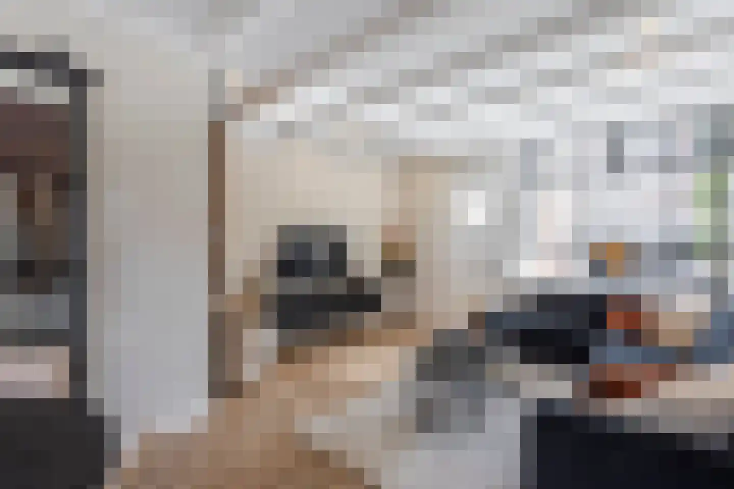 Rijshoutstraat 32 Sliedrecht thumbnail 5