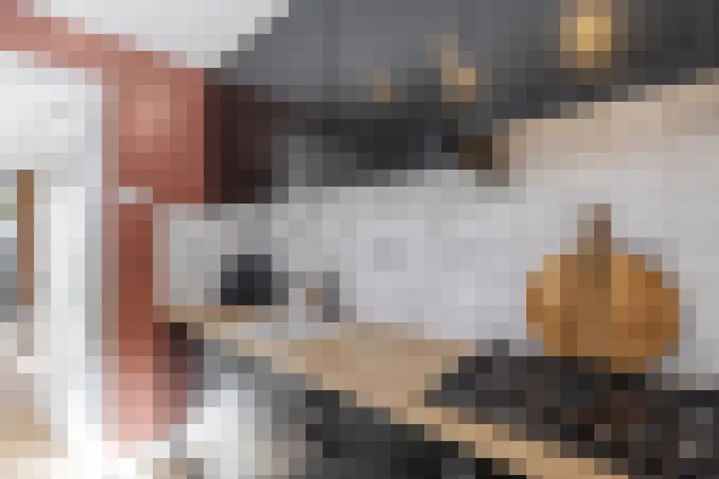 Rijshoutstraat 32 Sliedrecht thumbnail 8