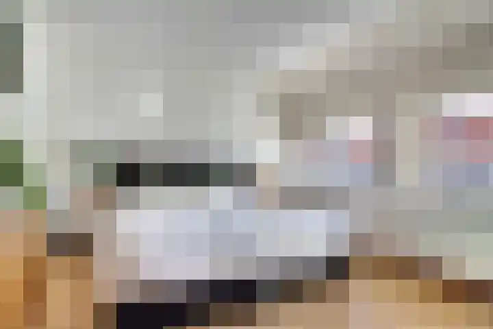 Rijshoutstraat 4 Sliedrecht thumbnail 14