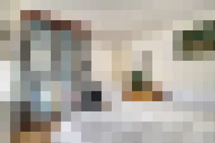 Rijshoutstraat 4 Sliedrecht thumbnail 15