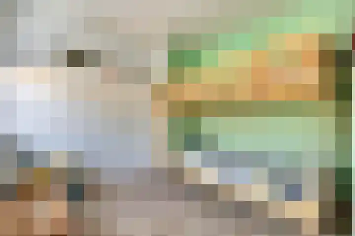 Rijshoutstraat 4 Sliedrecht thumbnail 16