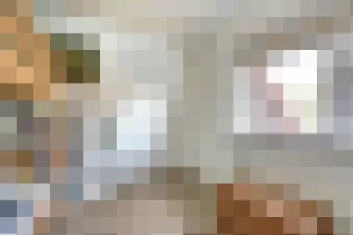 Rijshoutstraat 4 Sliedrecht thumbnail 17