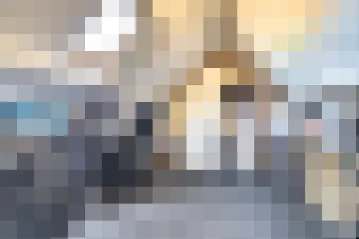 Rijshoutstraat 4 Sliedrecht thumbnail 20