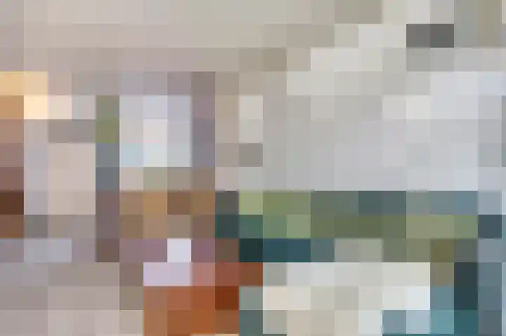 Rijshoutstraat 4 Sliedrecht thumbnail 4